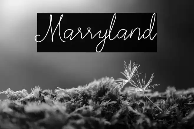 Marryland Font examples