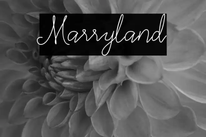Marryland Font examples