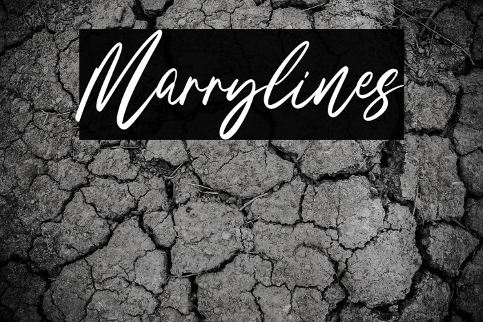 Marrylines Example 2
