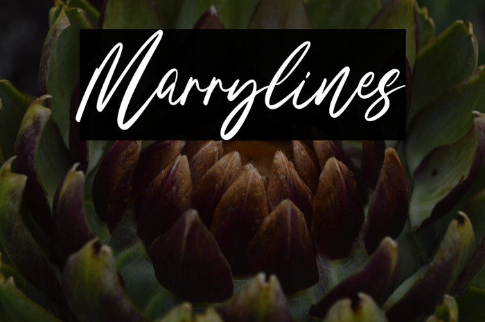 Marrylines Example 3
