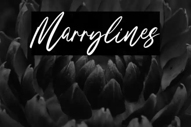 Marrylines Font examples