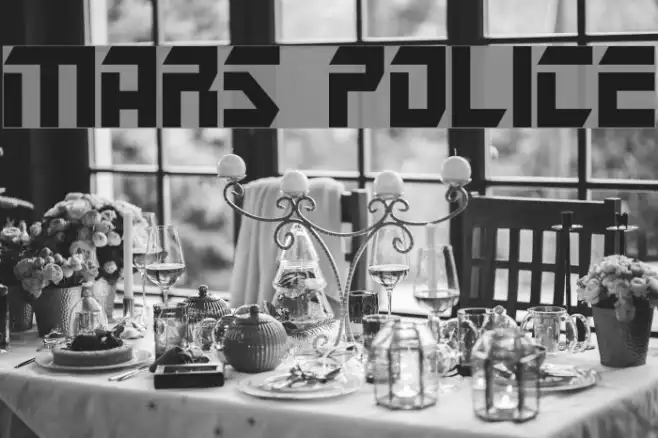 Mars Police Example 2