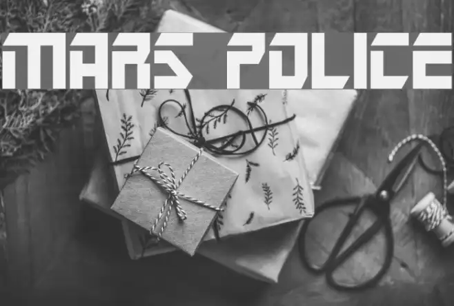 Mars Police Example 3