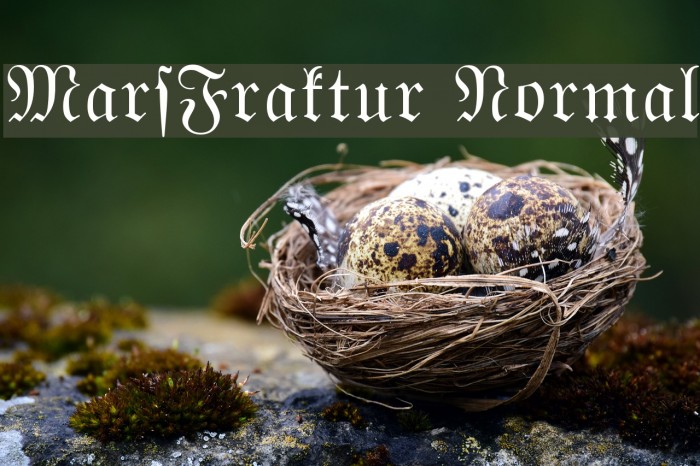 MarsFraktur Normal Font examples