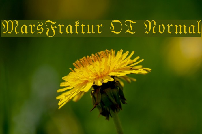 MarsFraktur OT Normal Font examples