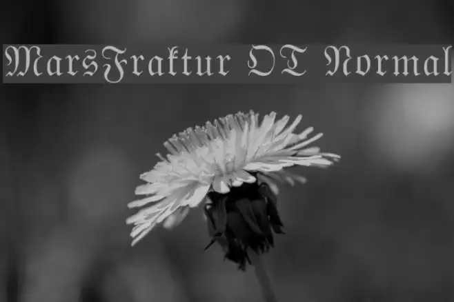 MarsFraktur OT Normal Example 3