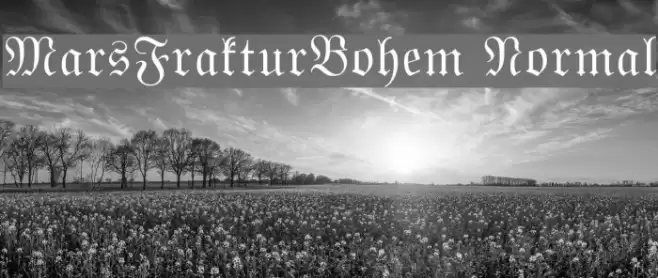 MarsFrakturBohem Normal Font examples