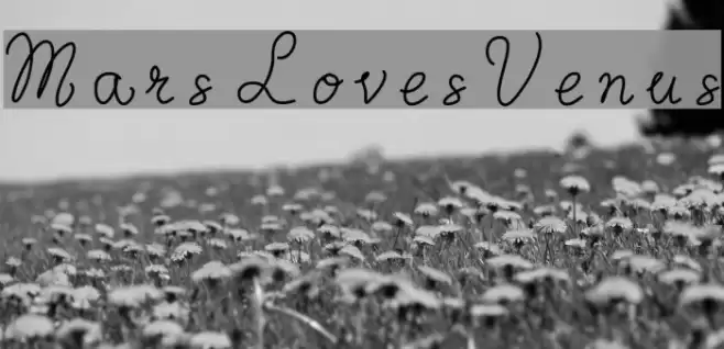 MarsLovesVenus Font examples