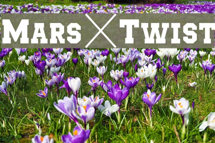 Mars&Twist Font examples