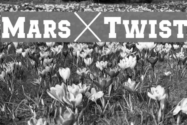 Mars&Twist Schriftart examples