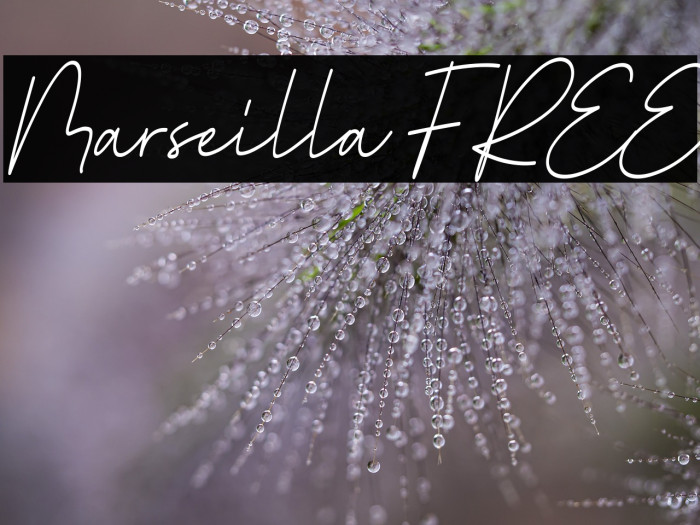 Marseilla FREE फ़ॉन्ट examples