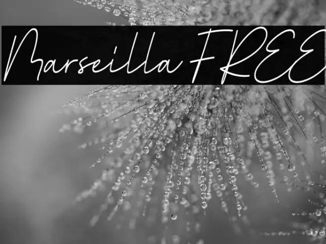 Marseilla FREE Example 1