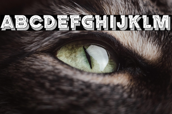 Marseille Regular Example 2