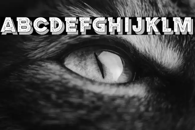 Marseille Regular Font examples