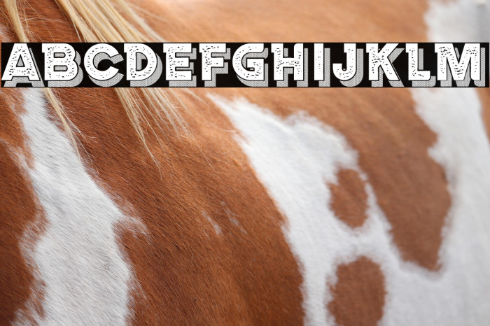 Marseille Regular Example 3