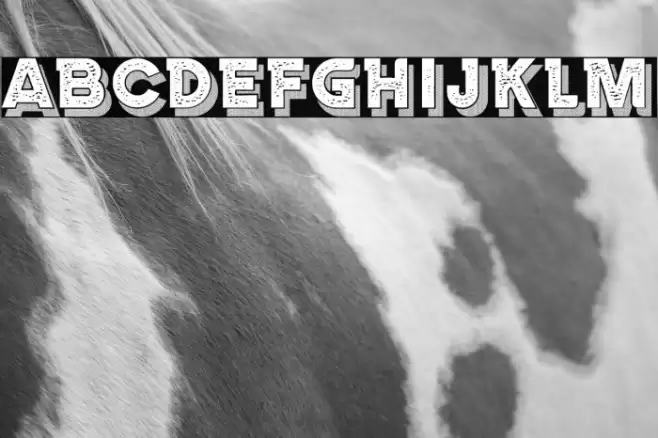 Marseille Regular Font examples