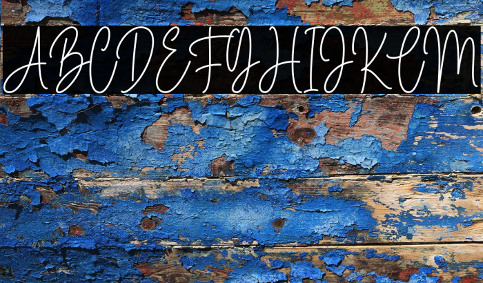 Marselin Signature Example 1