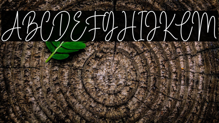 Marselin Signature Example 3