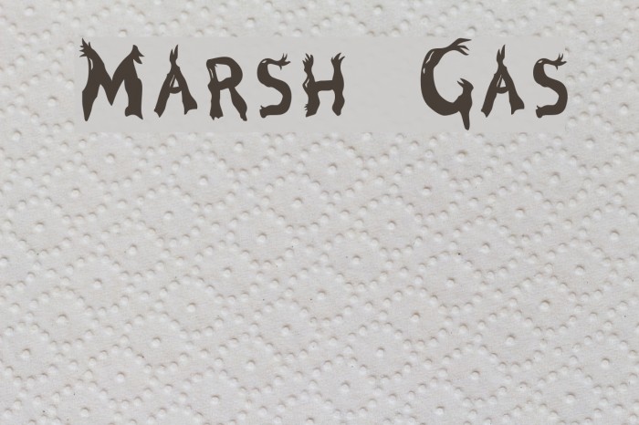 Marsh Gas Font examples
