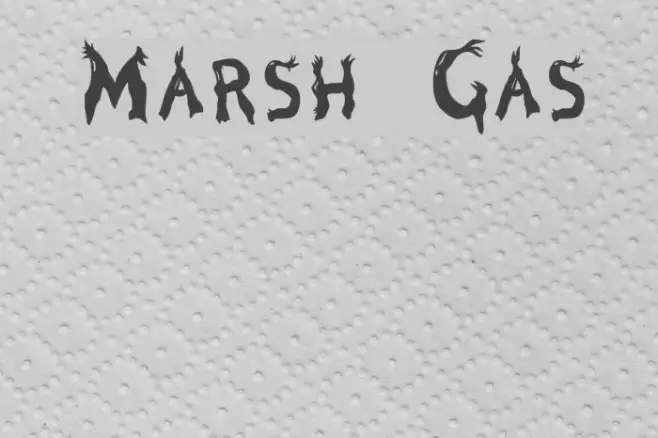 Marsh Gas Example 1