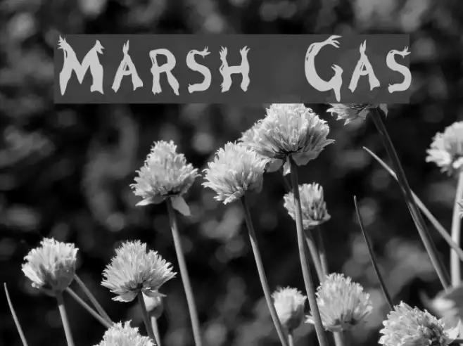 Marsh Gas Example 2
