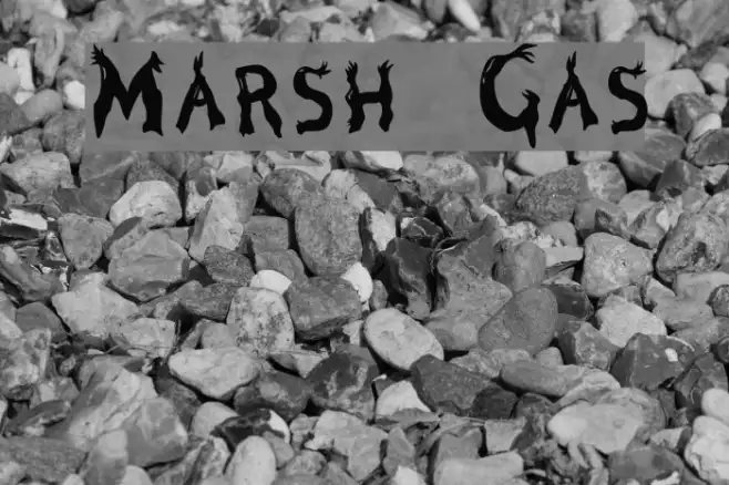 Marsh Gas Example 3