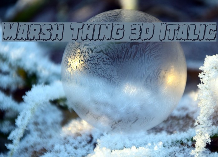 Marsh Thing 3D Italic Font examples