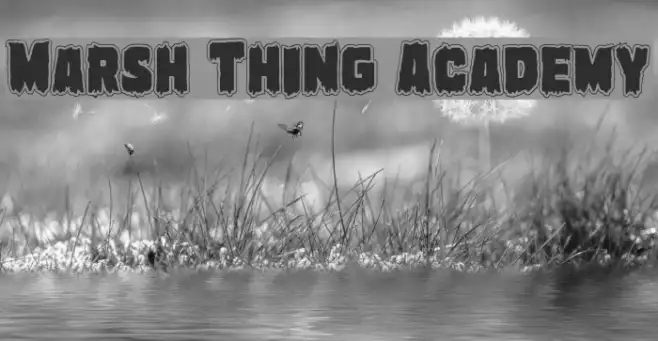 Marsh Thing Academy Example 3