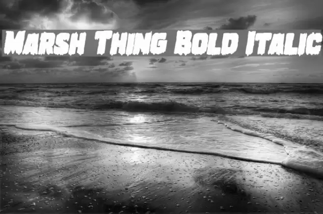 Marsh Thing Bold Italic examples