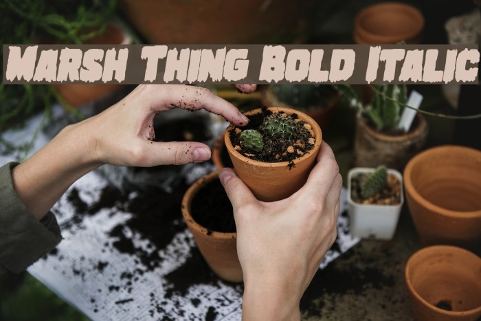 Marsh Thing Bold Italic Example 2