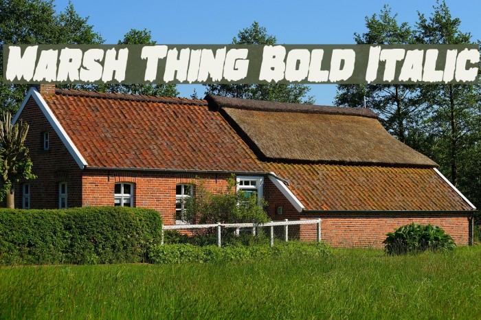 Marsh Thing Bold Italic Example 3