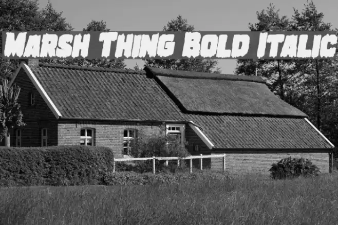 Marsh Thing Bold Italic examples