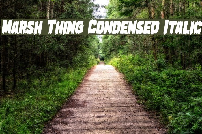 Marsh Thing Condensed Italic Font examples