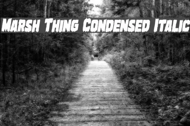 Marsh Thing Condensed Italic examples