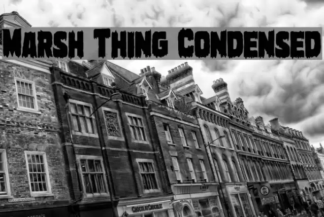 Marsh Thing Condensed Font examples