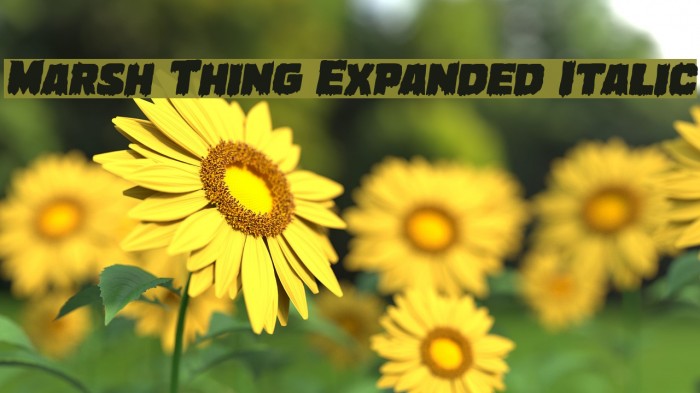 Marsh Thing Expanded Italic Font examples