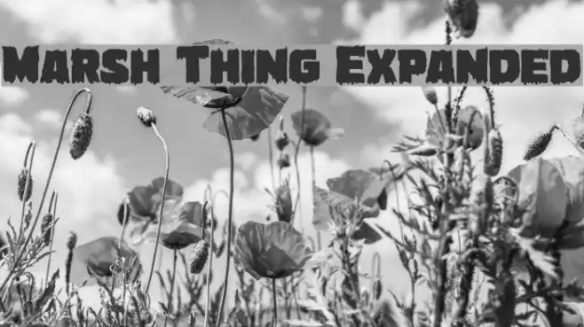 Marsh Thing Expanded Font examples
