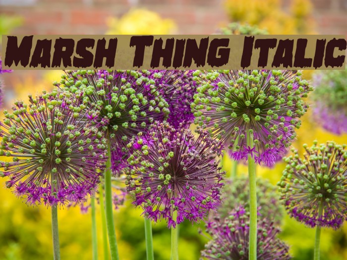 Marsh Thing Italic Font examples