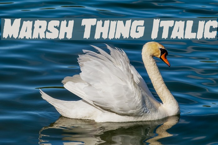 Marsh Thing Italic Font examples