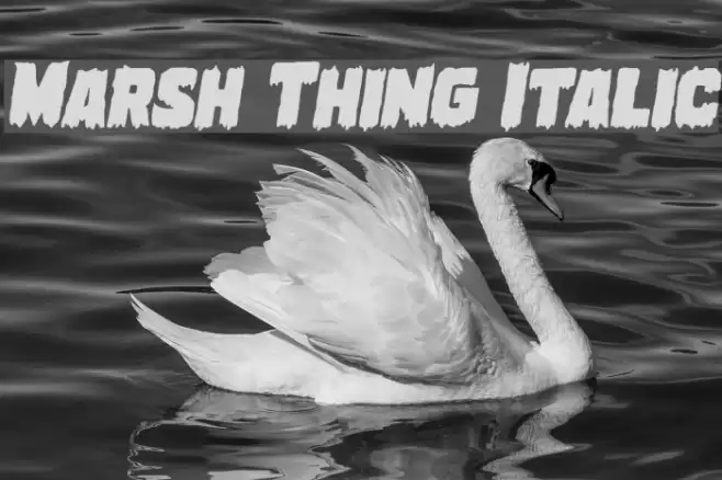 Marsh Thing Italic examples