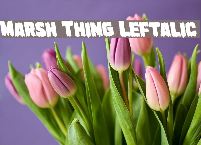Marsh Thing Leftalic Font examples