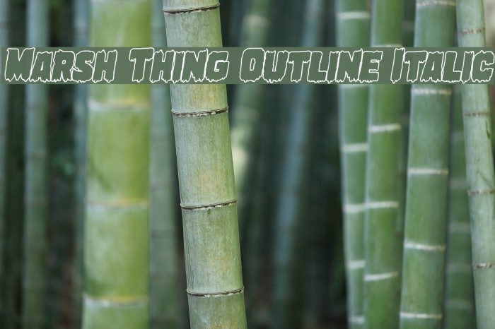 Marsh Thing Outline Italic Font examples