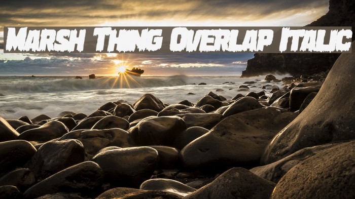 Marsh Thing Overlap Italic Font examples