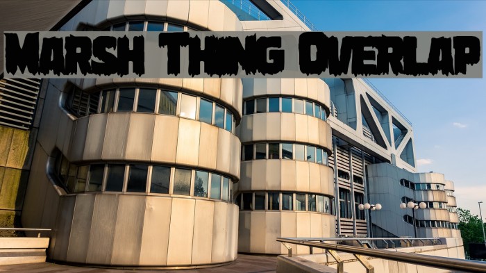 Marsh Thing Overlap Example 2