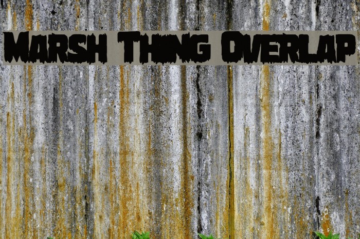 Marsh Thing Overlap Example 3