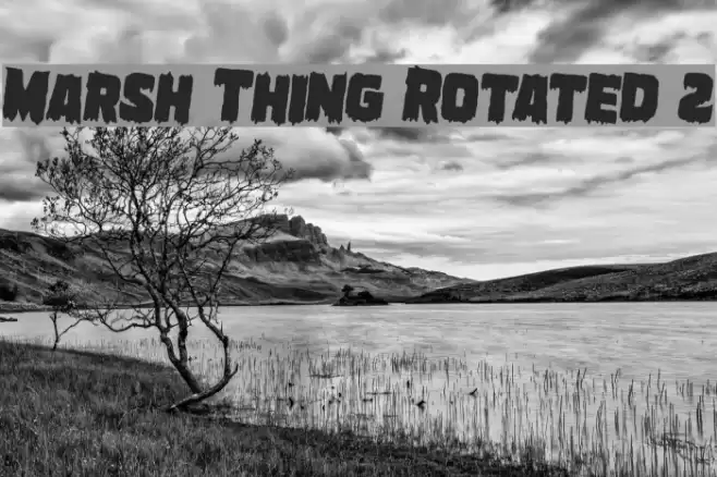 Marsh Thing Rotated 2 examples