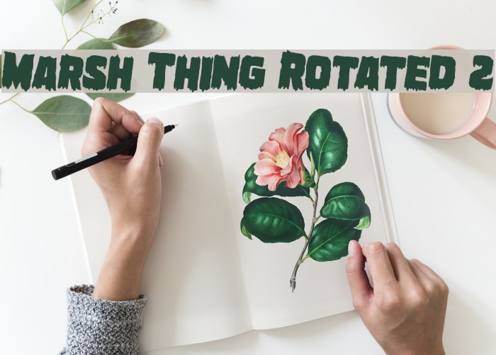 Marsh Thing Rotated 2 Example 2