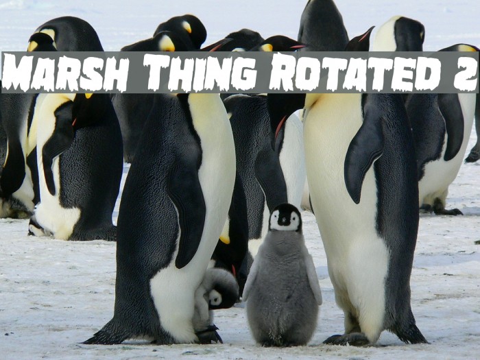 Marsh Thing Rotated 2 Example 3