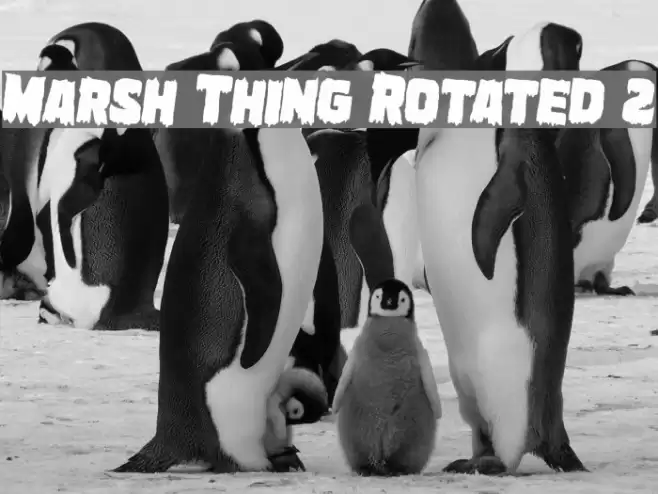 Marsh Thing Rotated 2 examples
