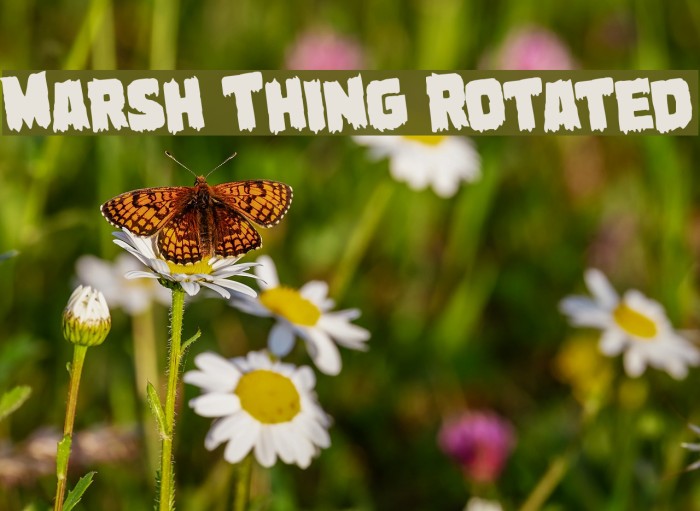 Marsh Thing Rotated Font examples